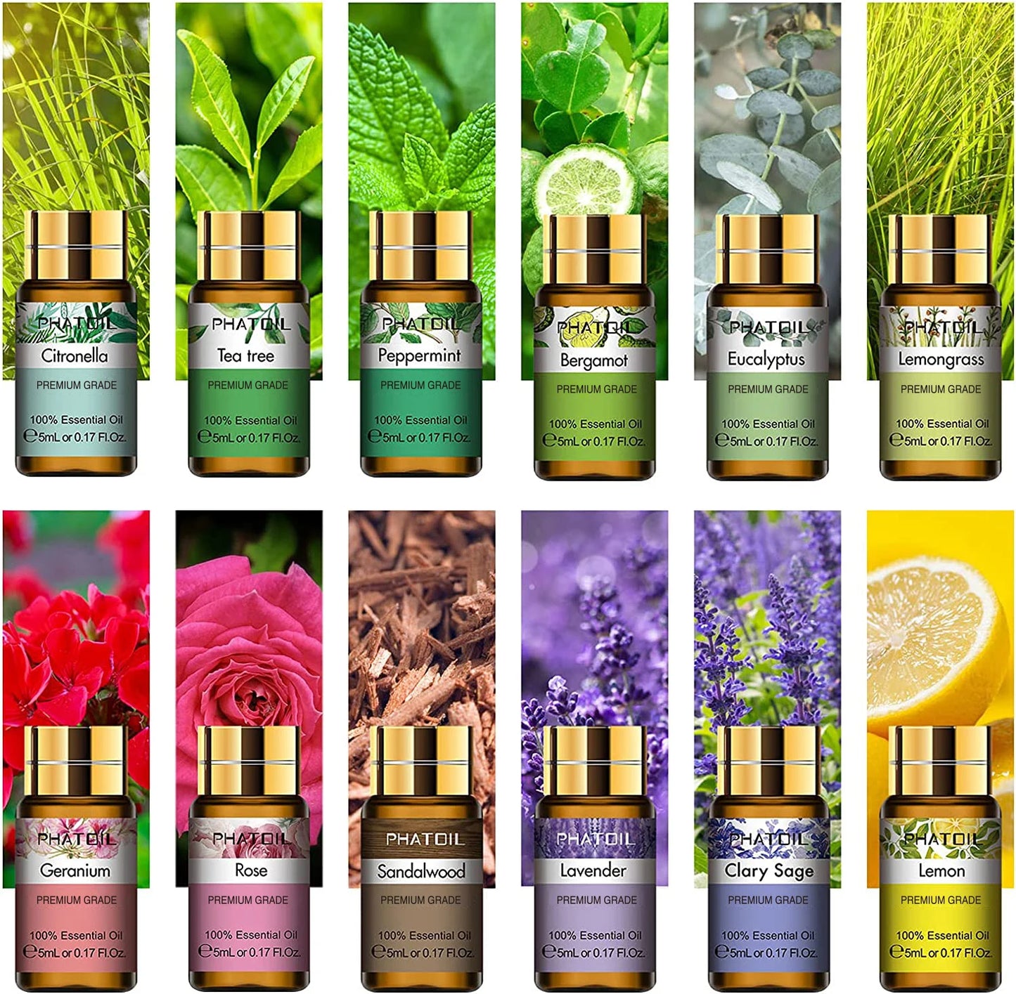 Lustrelle PHATOIL Pure Natural Aromatherapy Essential Oils Set